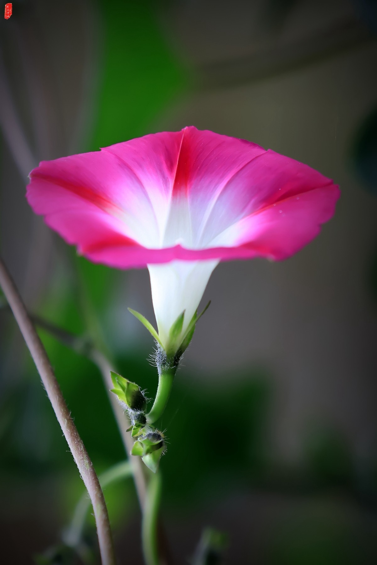 牽?；ㄐ∮? />
</span>
<span id=